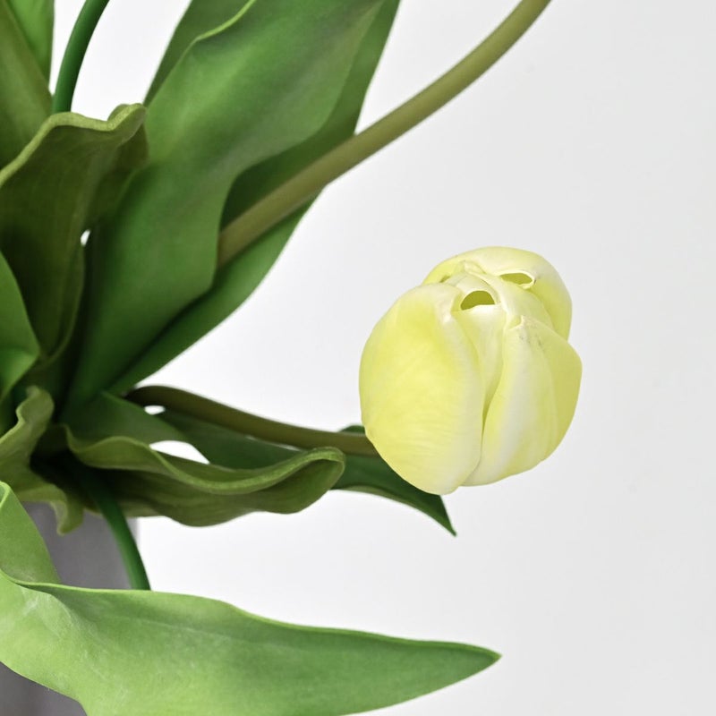 チューリップ アレンジメント [SP-168]