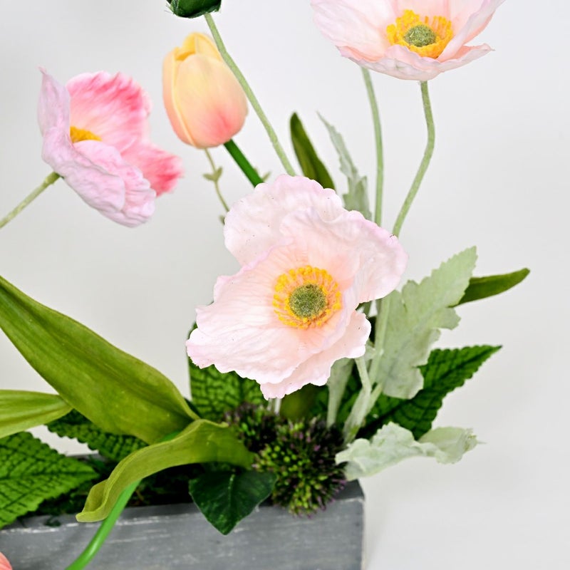 ポピー チューリップ アレンジメント [WEB592]