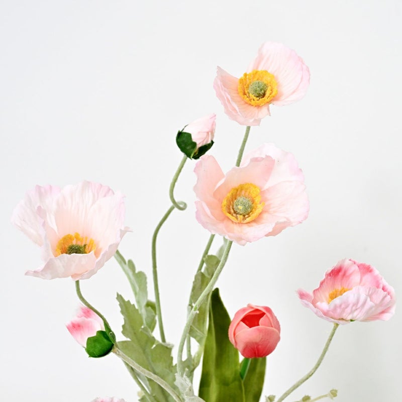 ポピー チューリップ アレンジメント [WEB592]