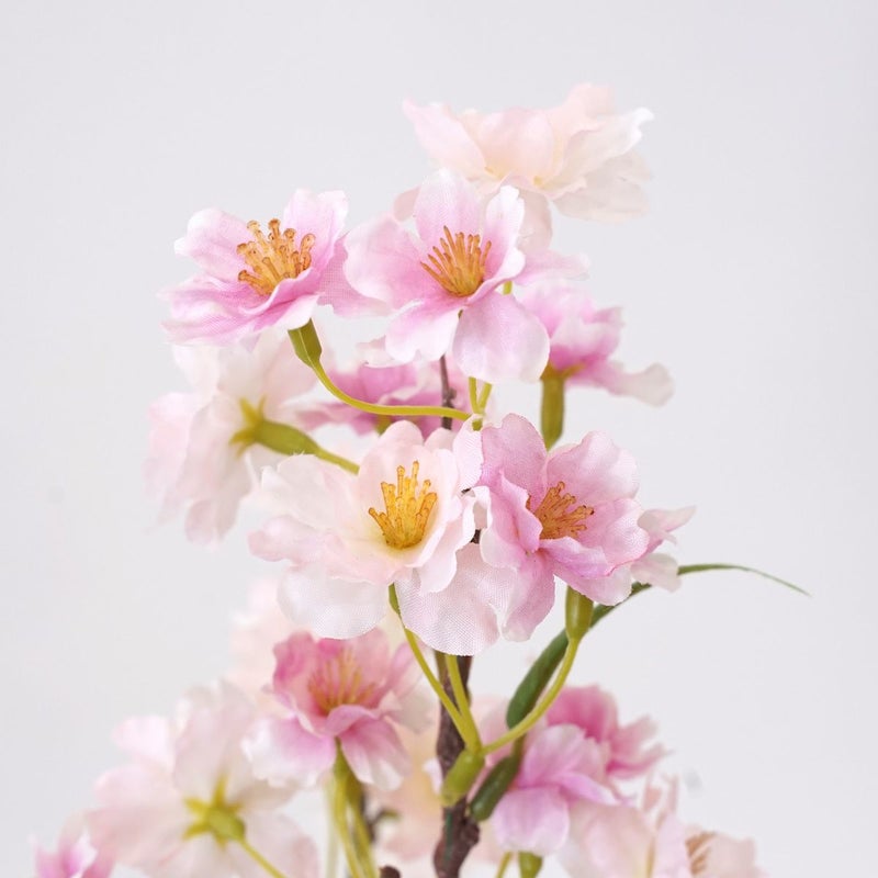 《オンライン限定》 1月のブーケ 春の息吹感じる桜 [WEB599] 