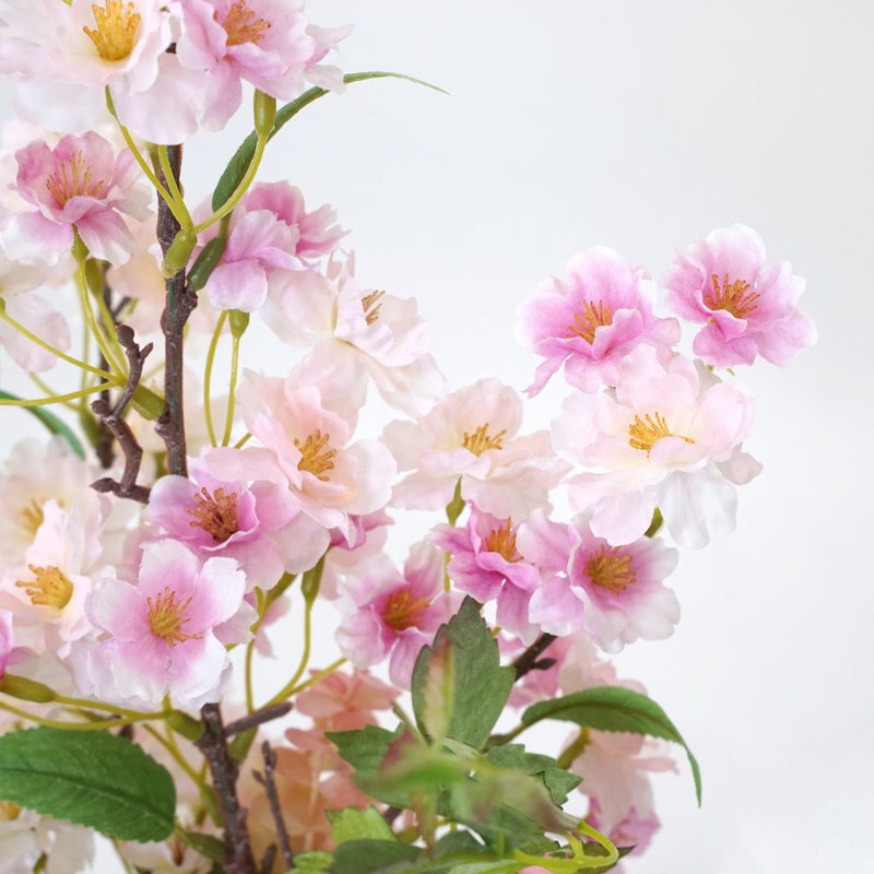 《オンライン限定》 1月のブーケ 春の息吹感じる桜 [WEB599] 