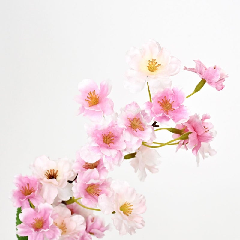 桜 アレンジメント [WEB593]