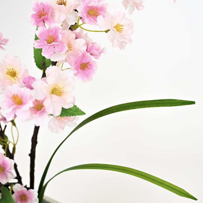 桜 アレンジメント [WEB593]