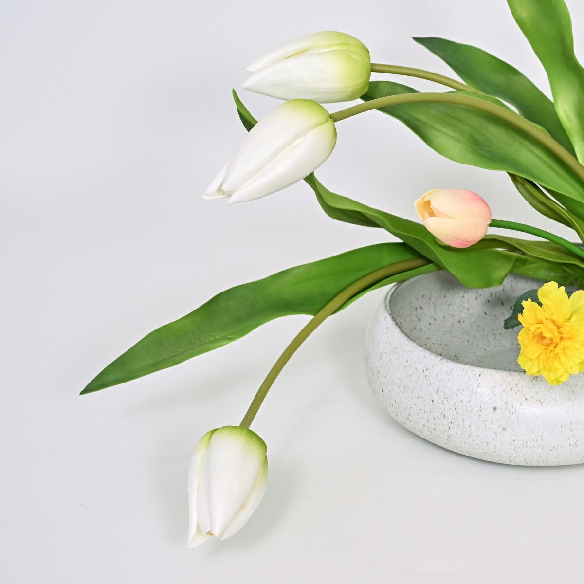  チューリップ アレンジメント [WEB594]