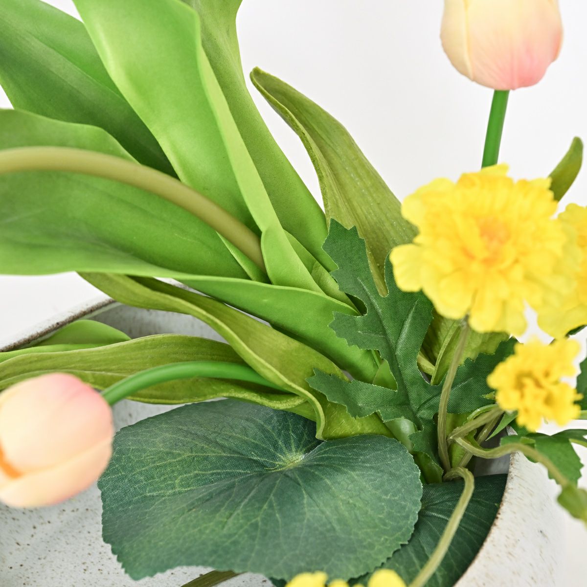  チューリップ アレンジメント [WEB594]