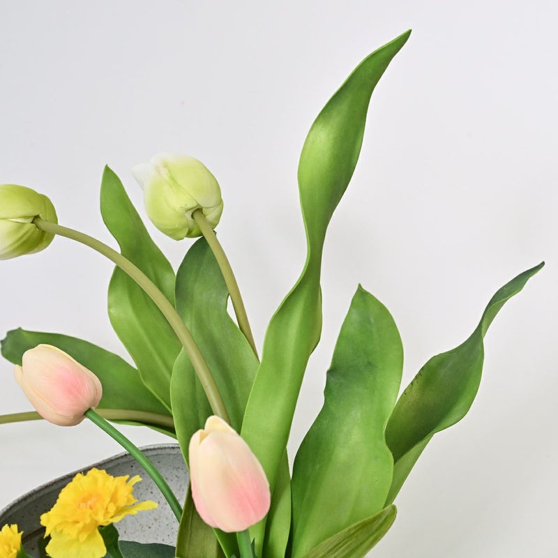  チューリップ アレンジメント [WEB594]