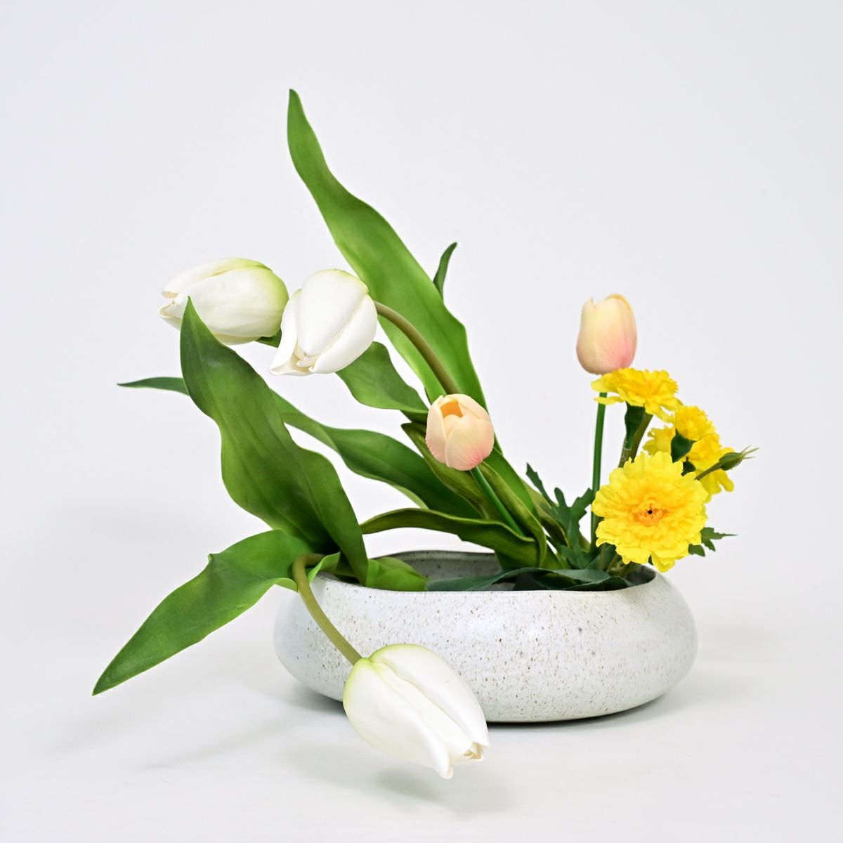  チューリップ アレンジメント [WEB594]