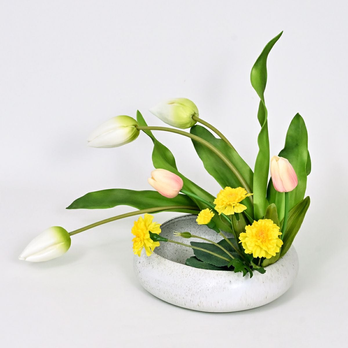  チューリップ アレンジメント [WEB594]