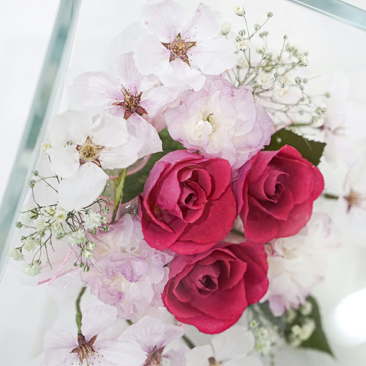 ローズ 桜 ミエル[55] ボトルフラワー