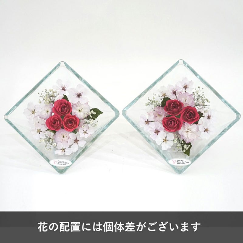 ローズ 桜 ミエル[55] ボトルフラワー