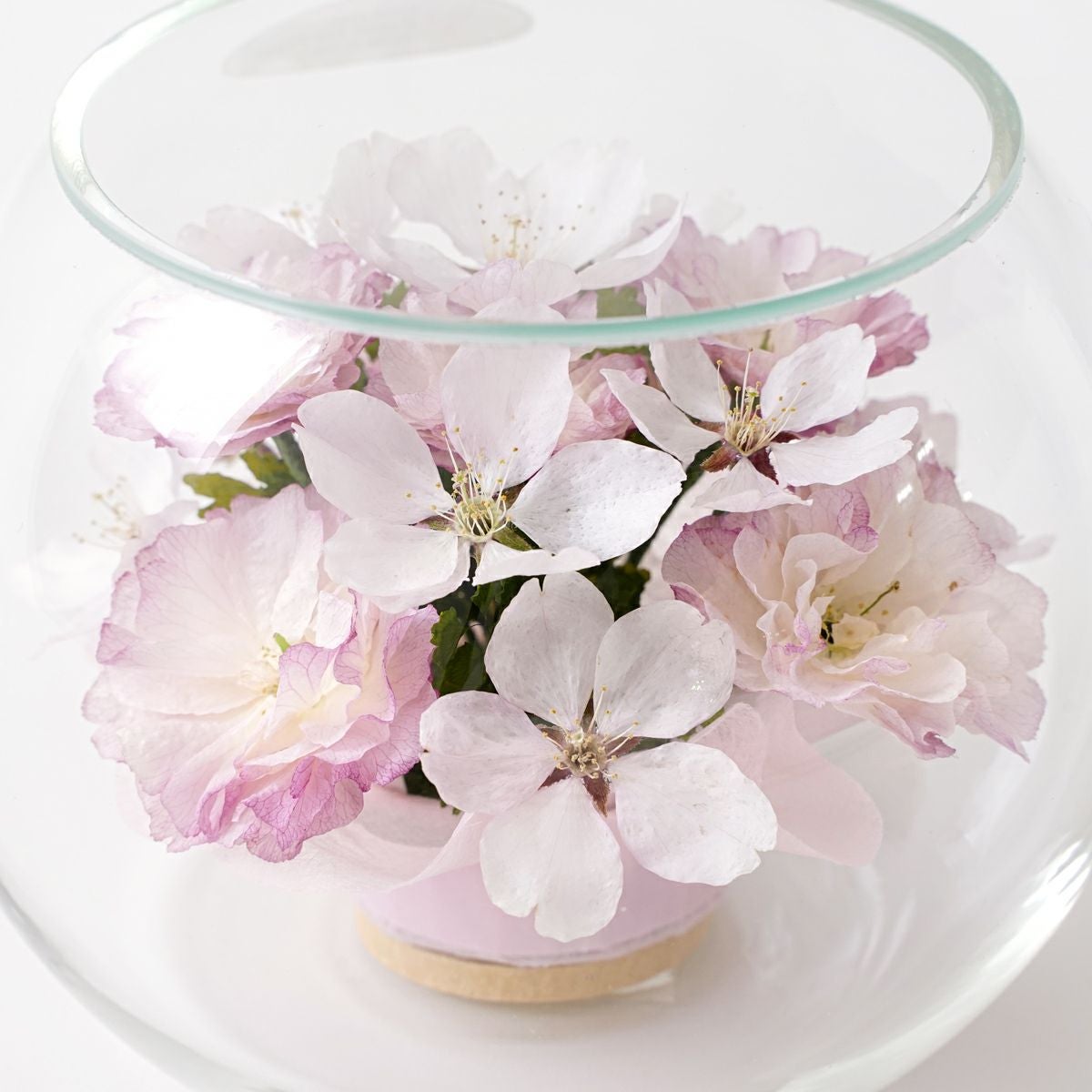 桜 ボトルフラワー [70]