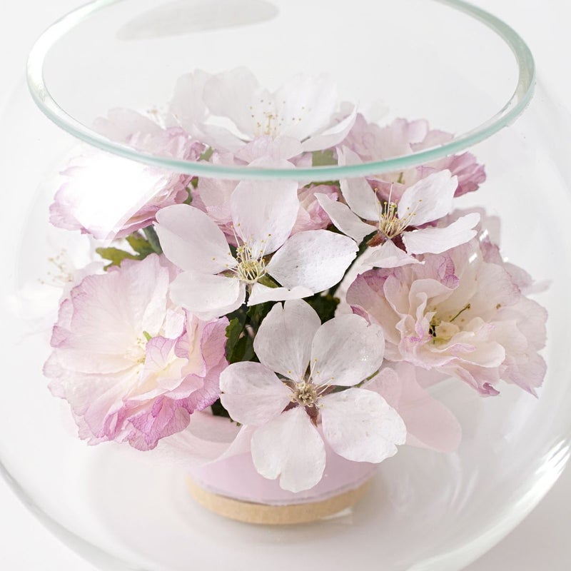 桜 ボトルフラワー [70]