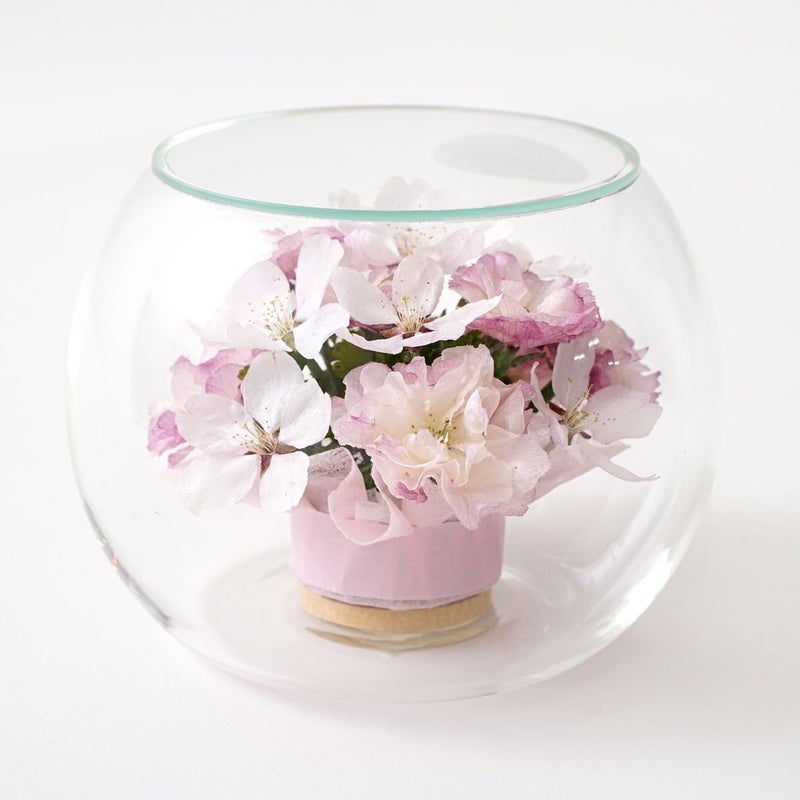 桜 ボトルフラワー [70]