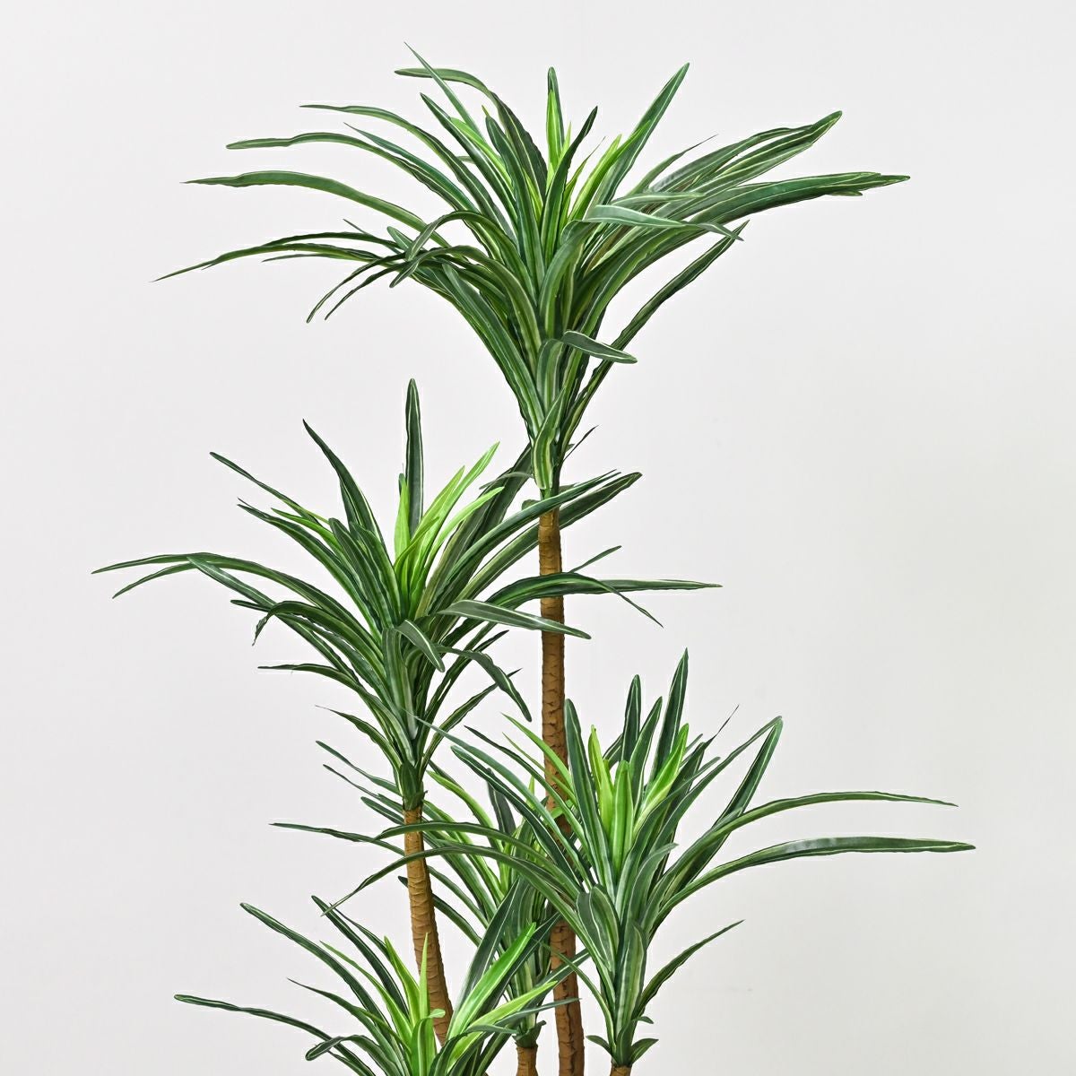 寄せ植え ユッカ フェイクグリーン [107G]