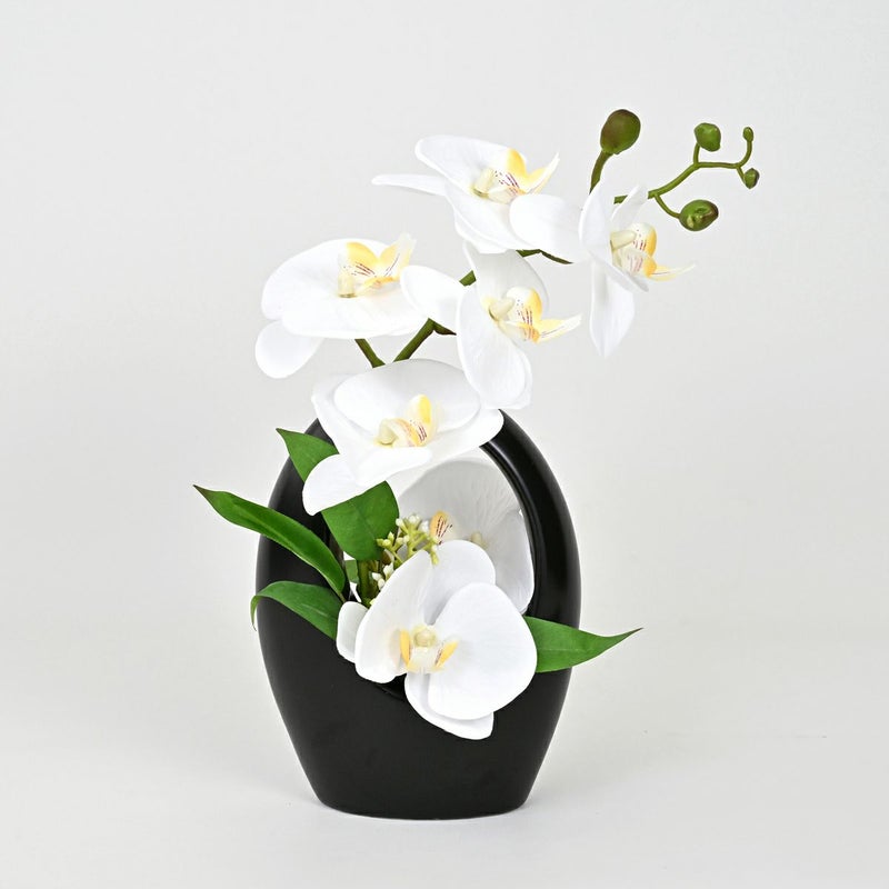 ファレノプシスアレンジ[09]