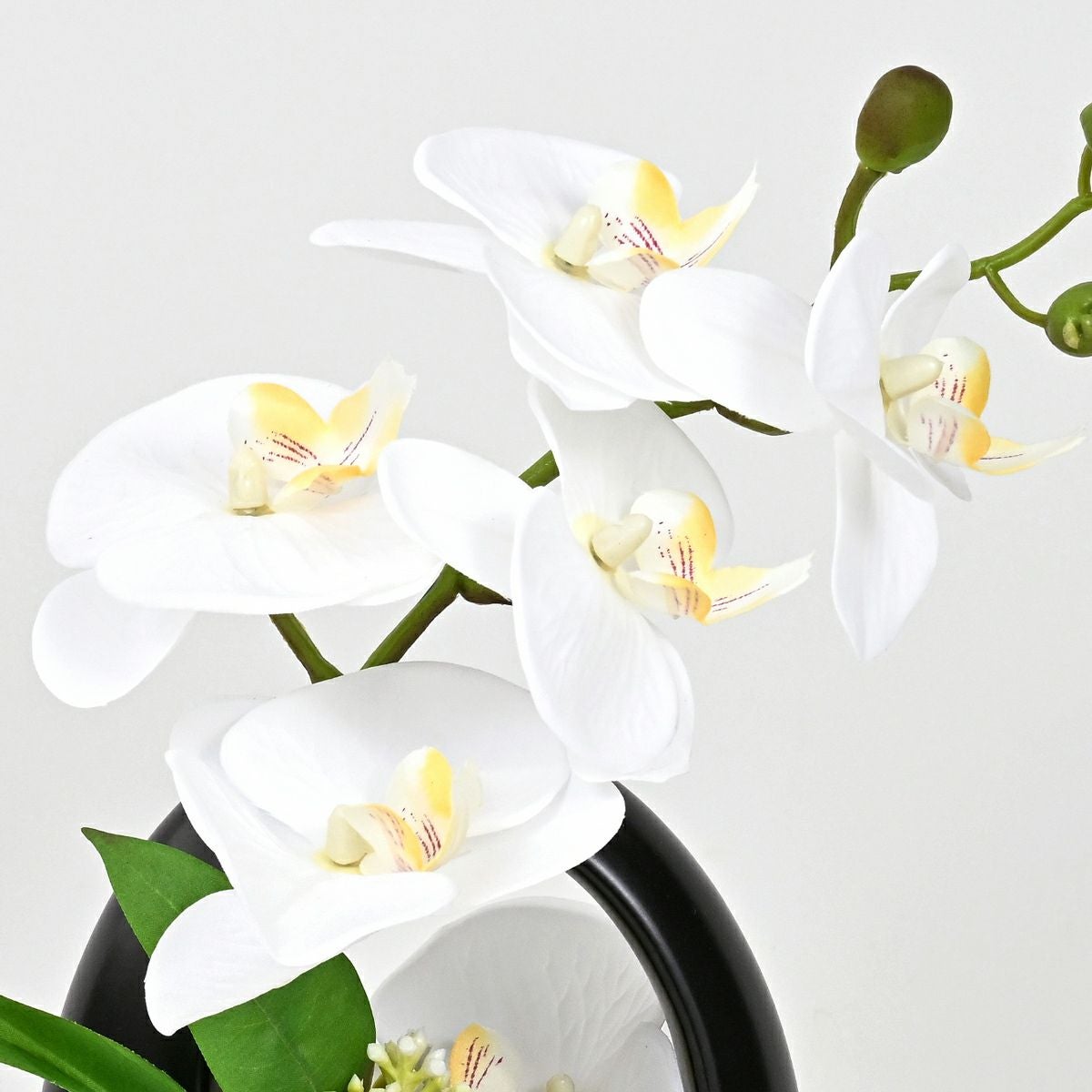 ファレノプシスアレンジ[09]