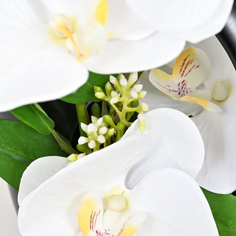 ファレノプシスアレンジ[09]