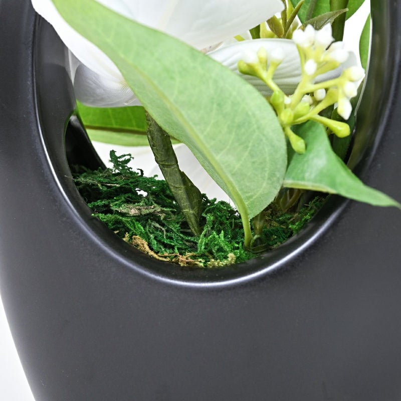 ファレノプシスアレンジ[09]