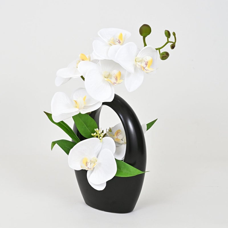 ファレノプシスアレンジ[09]