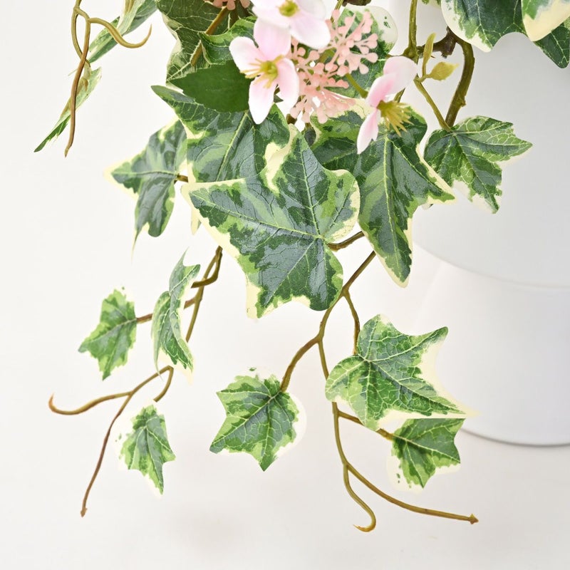 ラナンキュラス アレンジメント [WEB595][WEB596][WEB597]