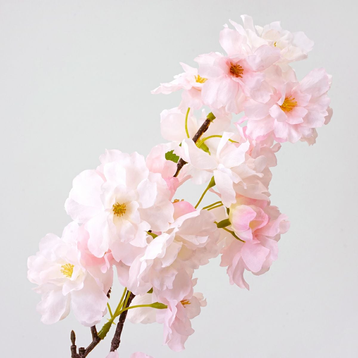 《オンライン限定》 桜 アレンジメント [WEB607]