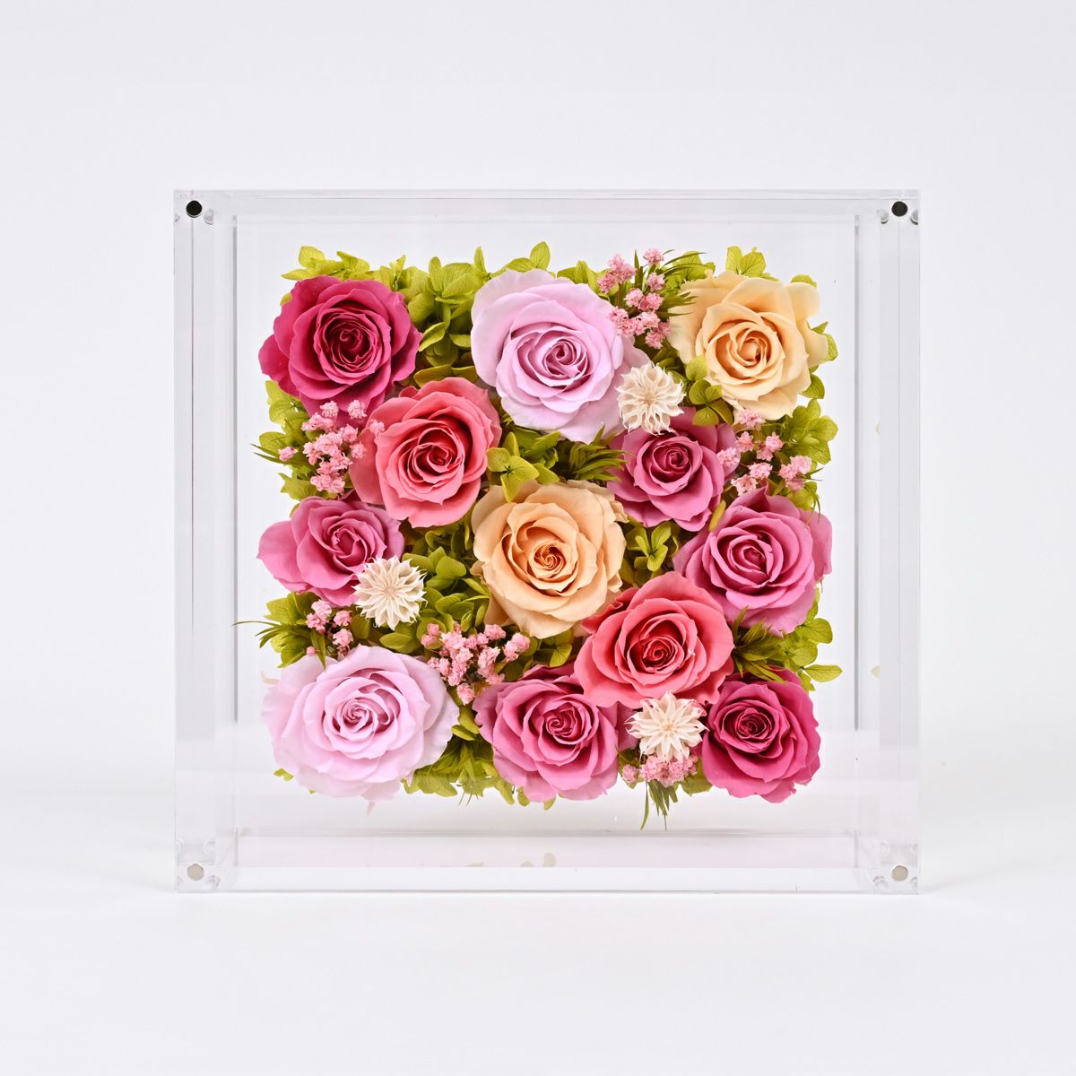 プリザーブドフラワー [380][381]