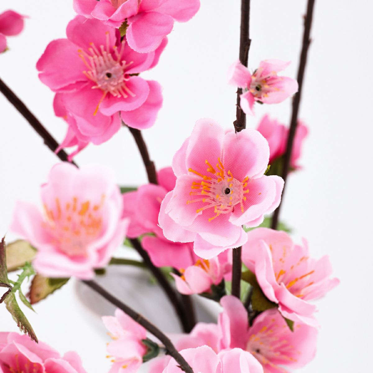 《オンライン限定》 花桃 アレンジメント [WEB390A]