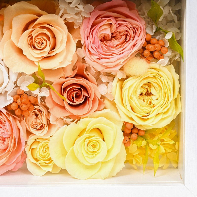 プリザーブドフラワー [371][372][373]