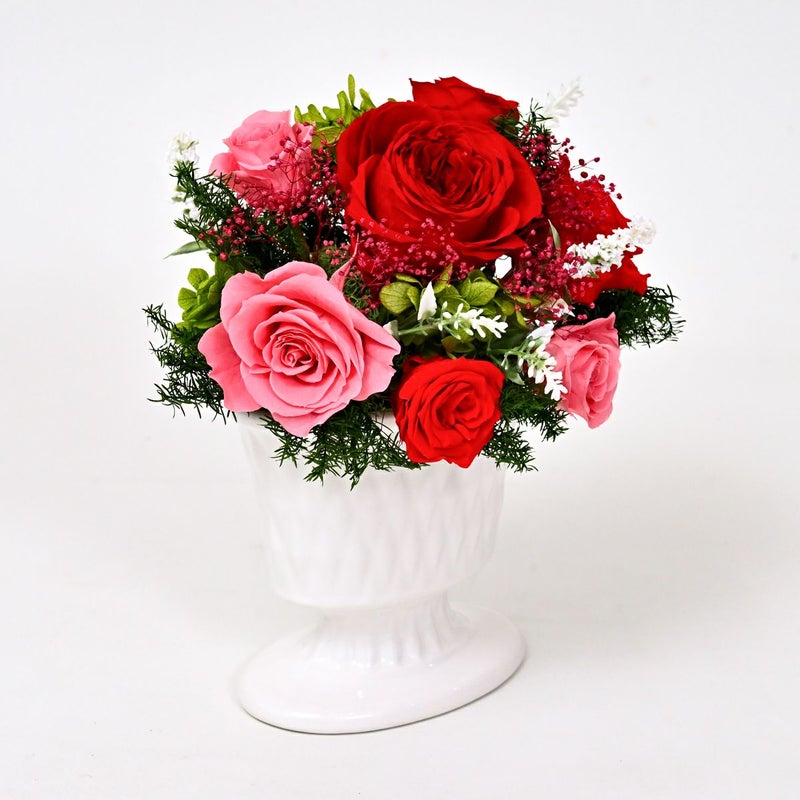 プリザーブドフラワー [382][383][384]