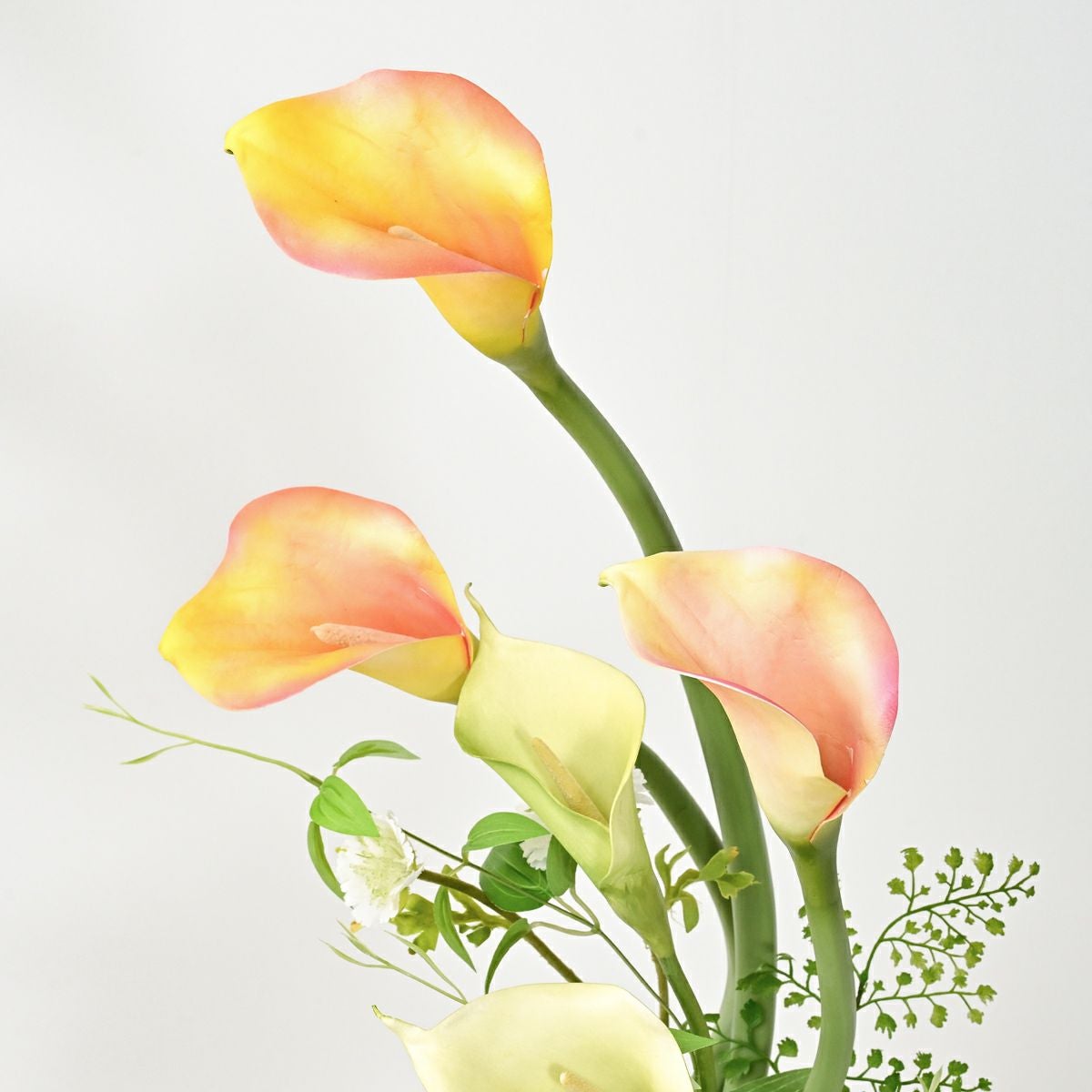 カラーリリー アレンジメント [SP-173]