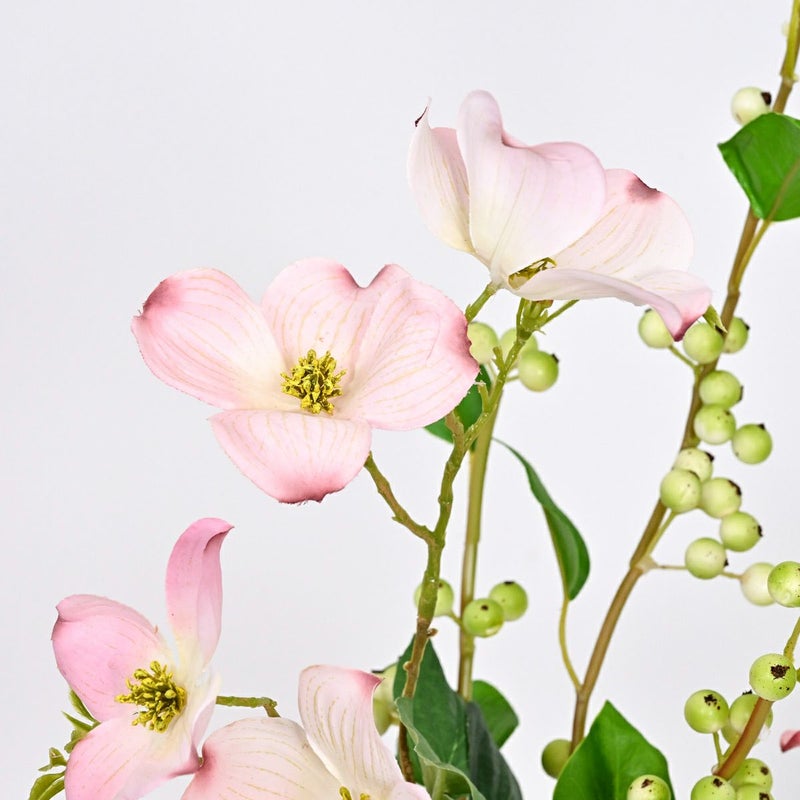 ハナミズキ アレンジメント [SP-174]