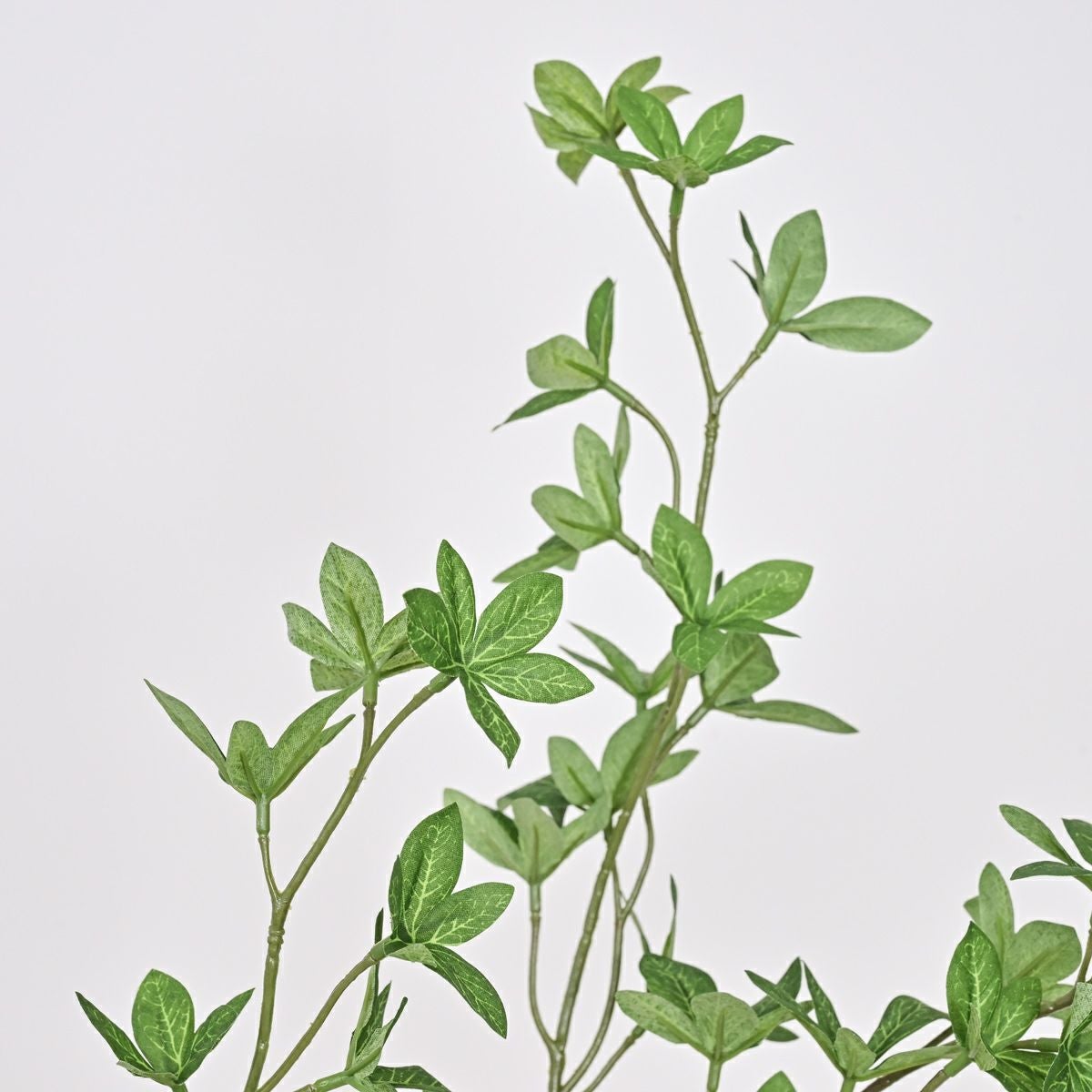 ハナミズキ アレンジメント [SP-175]