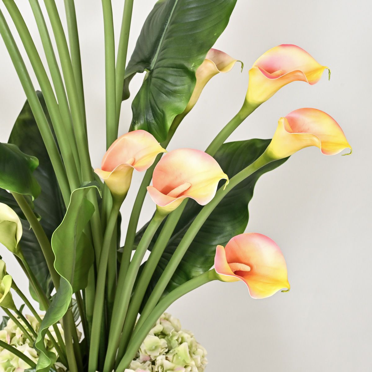 カラーリリー アレンジメント [SP-P-20]