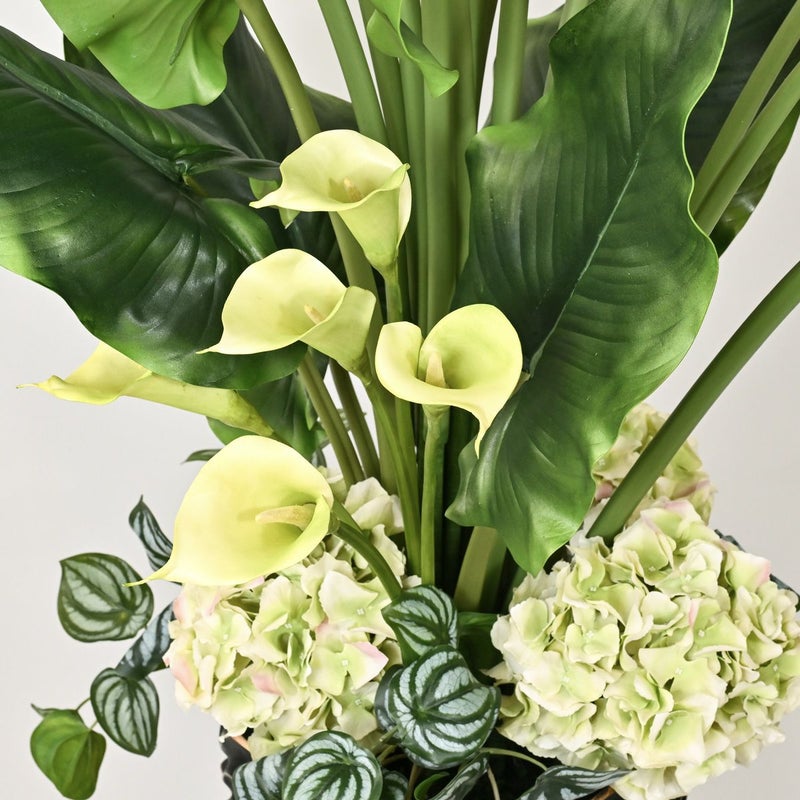 カラーリリー アレンジメント [SP-P-20]