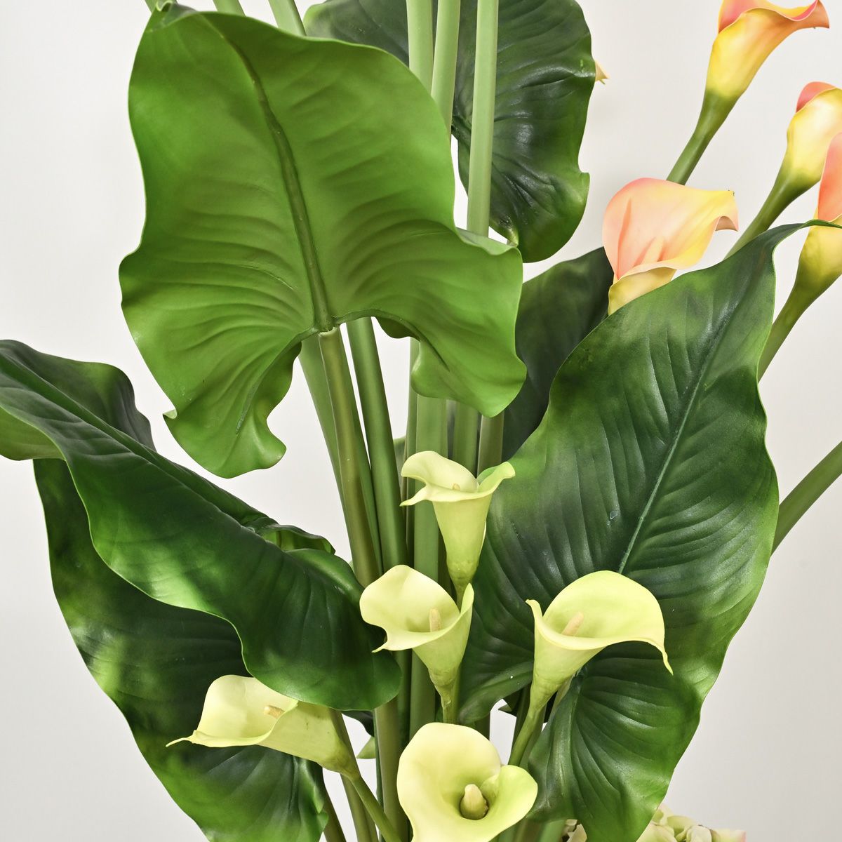 カラーリリー アレンジメント [SP-P-20]