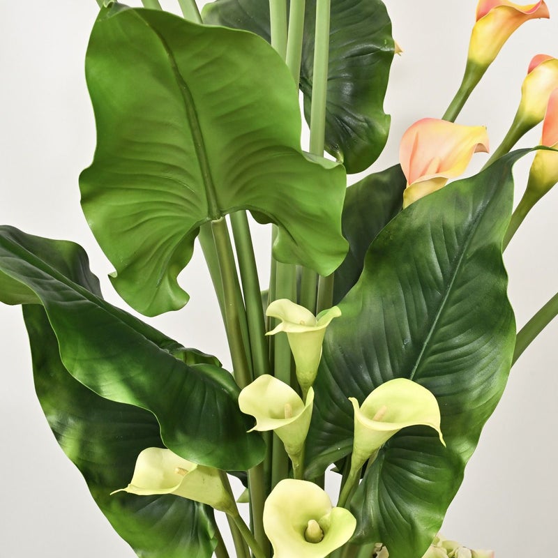 カラーリリー アレンジメント [SP-P-20]