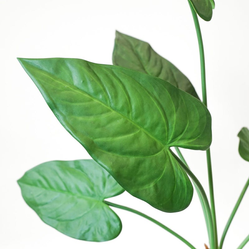 アロカシア フェイクグリーン [123]