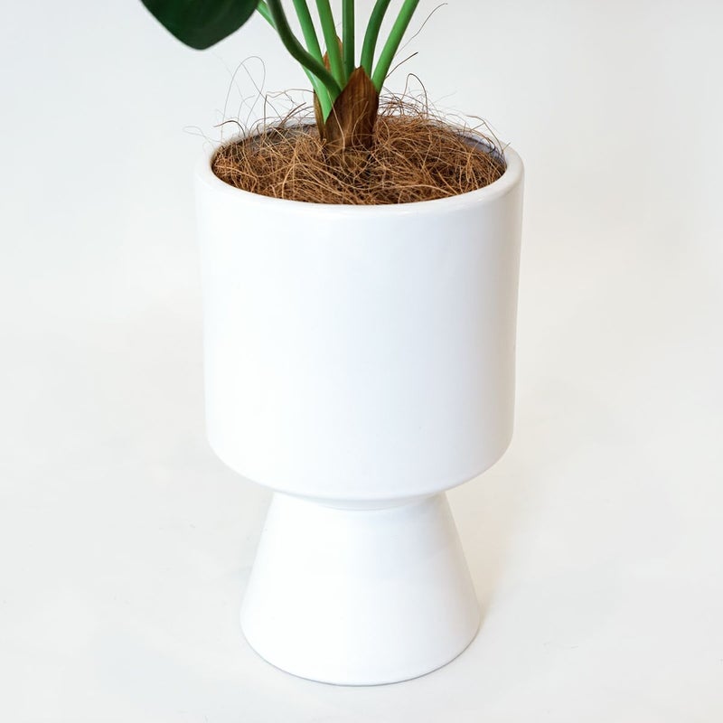 アロカシア フェイクグリーン [123]