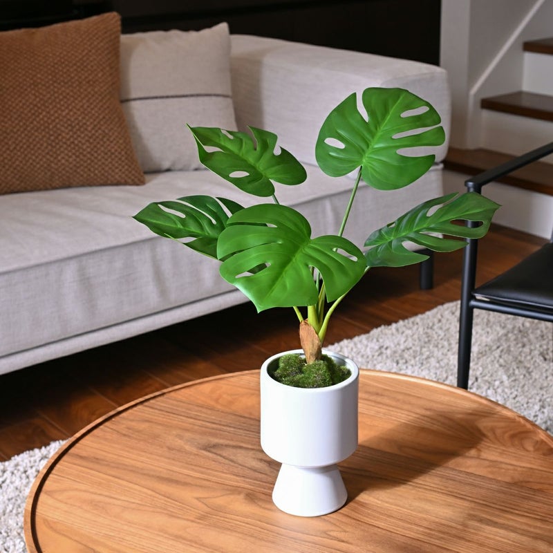 モンステラ フェイクグリーン [124]