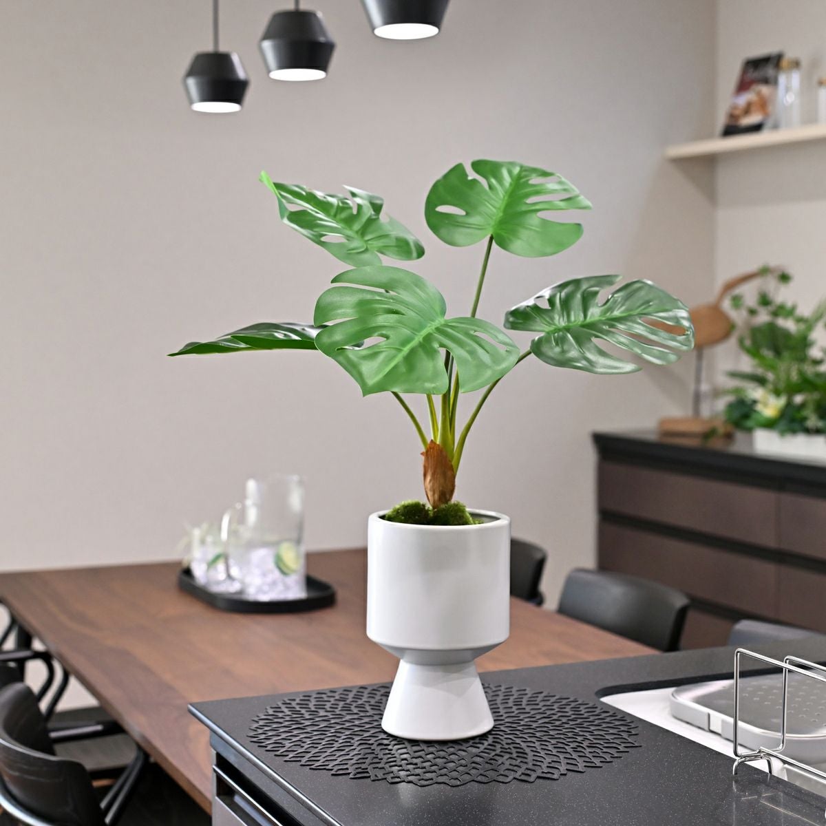 モンステラ フェイクグリーン [124]