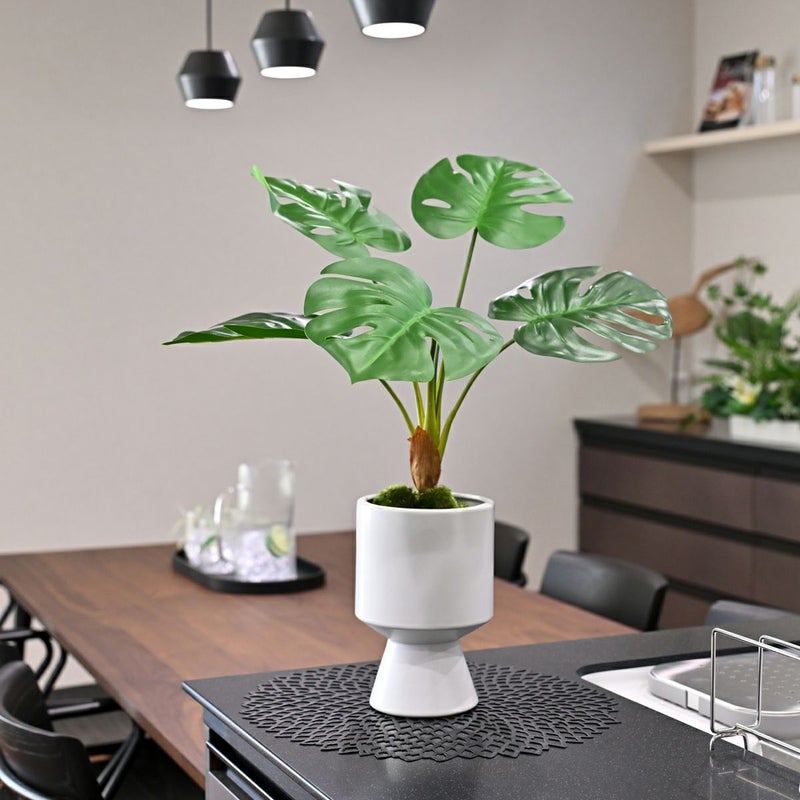 モンステラ フェイクグリーン [124]