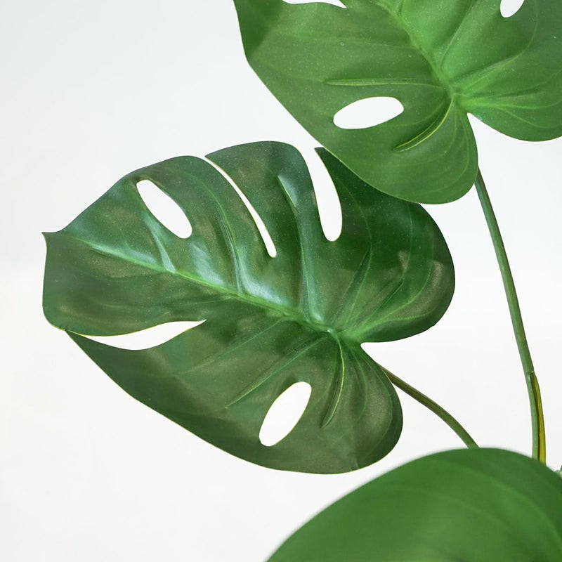 モンステラ フェイクグリーン [124]