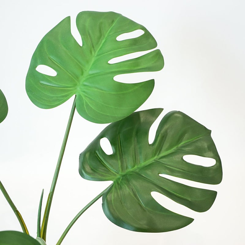 モンステラ フェイクグリーン [124]