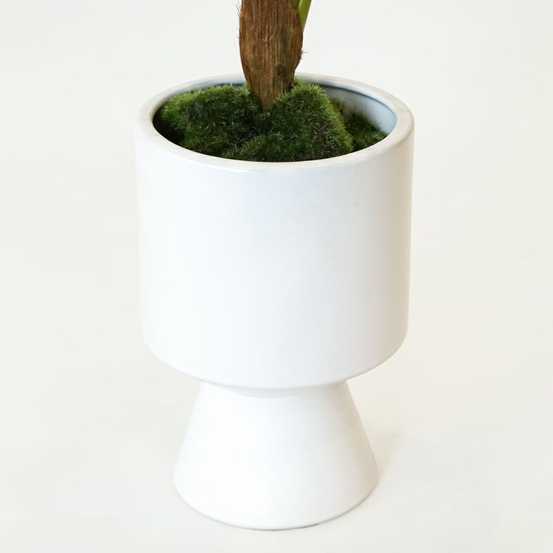 モンステラ フェイクグリーン [124]