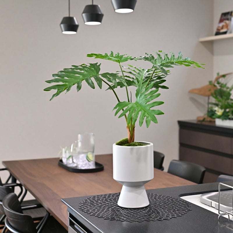 セローム フェイクグリーン [125]