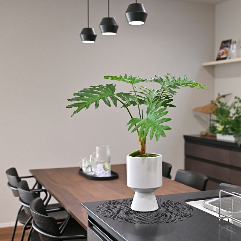 セローム フェイクグリーン [125]