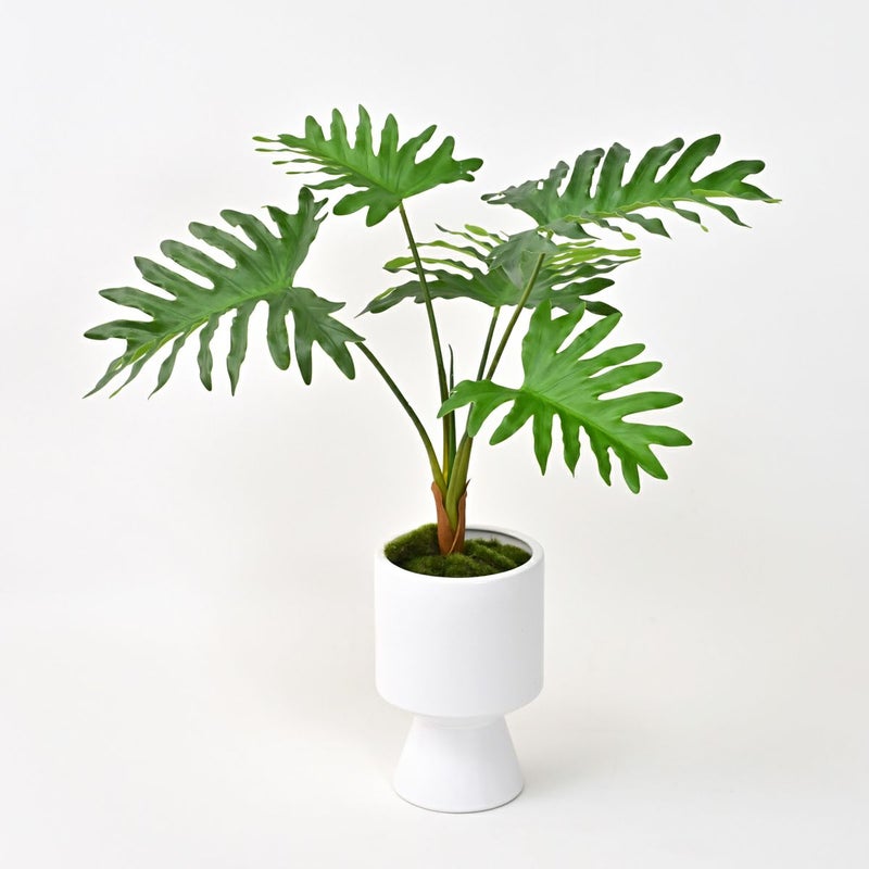 セローム フェイクグリーン [125]