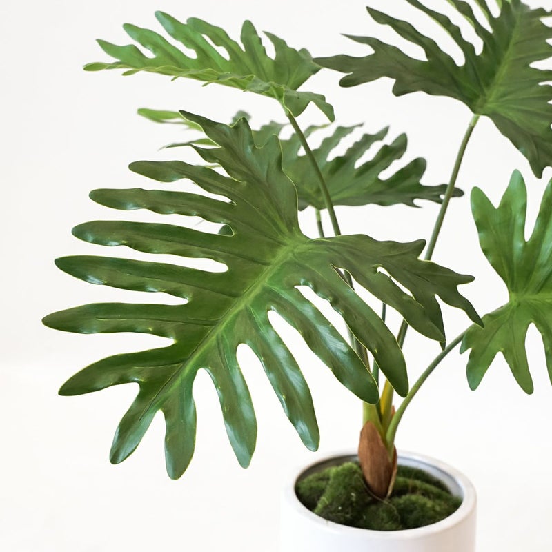 セローム フェイクグリーン [125]