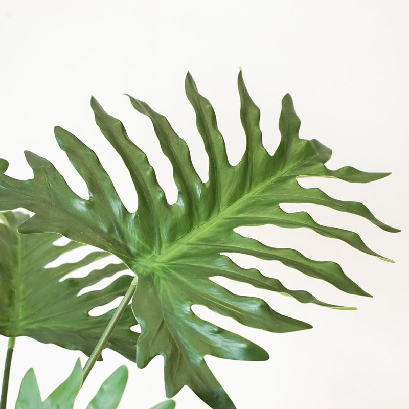 セローム フェイクグリーン [125]