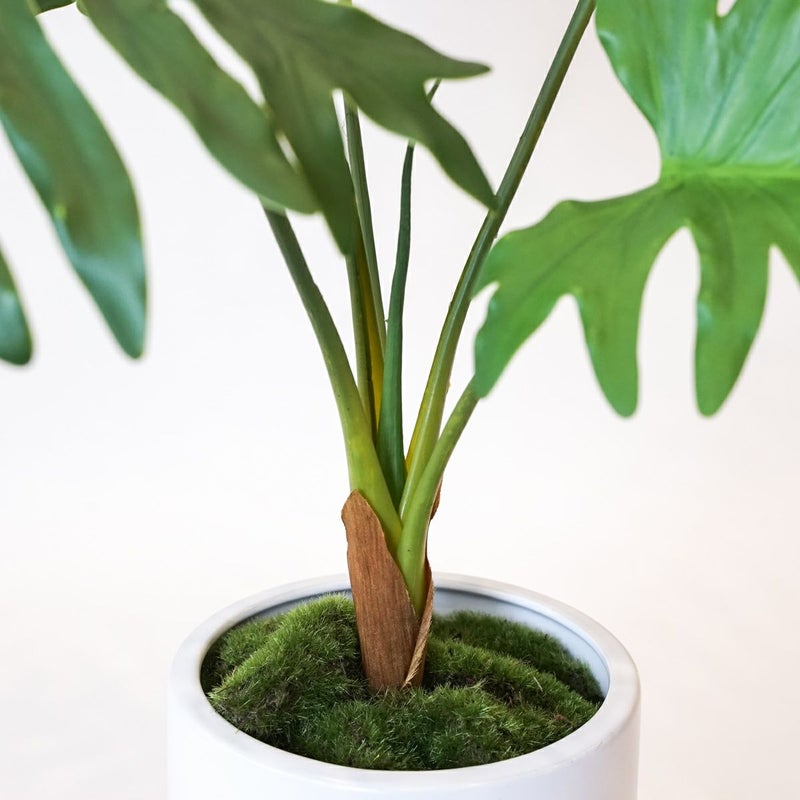 セローム フェイクグリーン [125]